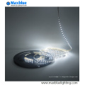 SMD 2835 120LED / M LED Strip Light